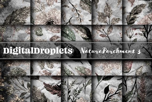 Exploring the Nature Parchment Vol. 3 Collection